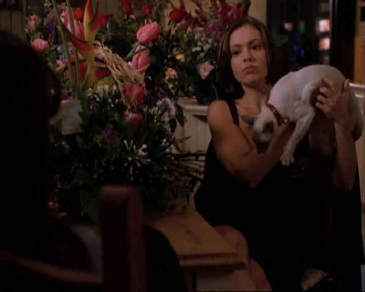 Charmed-Online-dot-net_105DreamSorcerer1782.jpg Charmed-Online-dot-net_105DreamSorcerer1782.jpg