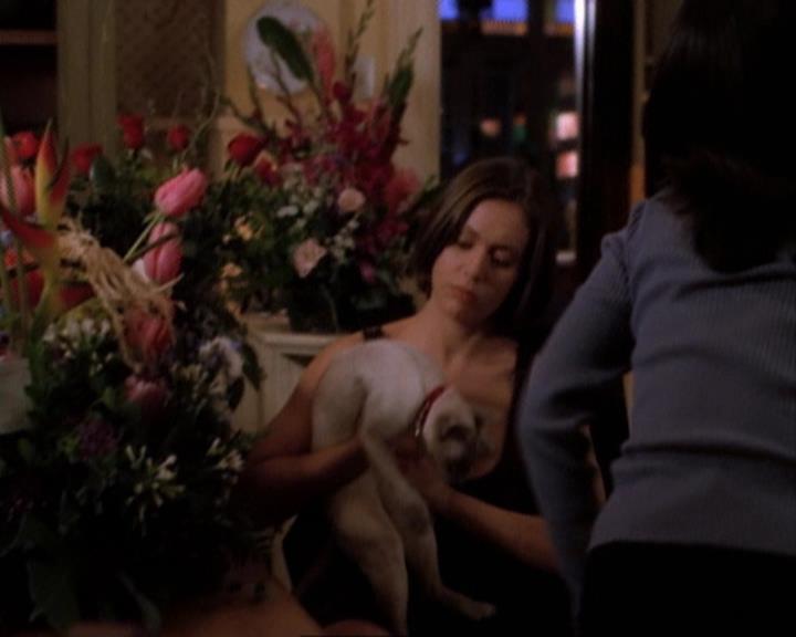 Charmed-Online-dot-net_105DreamSorcerer1784.jpg Charmed-Online-dot-net_105DreamSorcerer1784.jpg