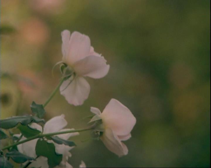 Charmed-Online-dot-net_106TheWeddingFromHell0005.jpg Charmed-Online-dot-net_106TheWeddingFromHell0005.jpg