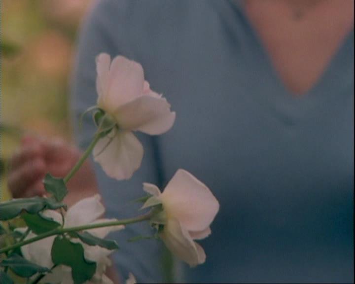 Charmed-Online-dot-net_106TheWeddingFromHell0006.jpg Charmed-Online-dot-net_106TheWeddingFromHell0006.jpg