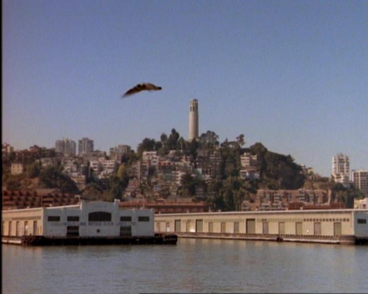 Charmed-Online-dot-net_106TheWeddingFromHell0464.jpg Charmed-Online-dot-net_106TheWeddingFromHell0464.jpg