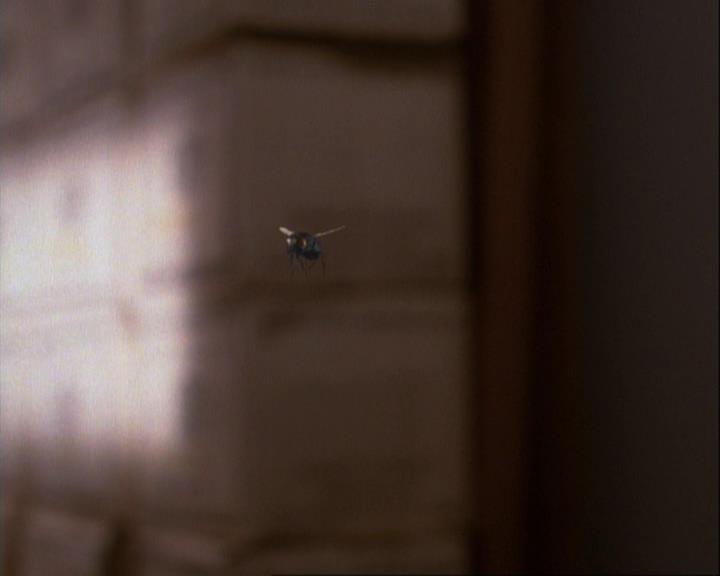 Charmed-Online-dot-net_106TheWeddingFromHell2068.jpg Charmed-Online-dot-net_106TheWeddingFromHell2068.jpg