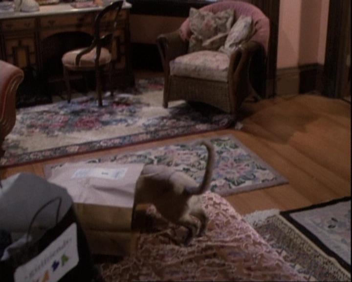 Charmed-Online-dot-net_110WiccaEnvy0073.jpg Charmed-Online-dot-net_110WiccaEnvy0073.jpg