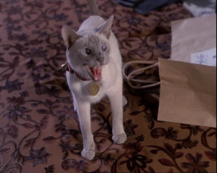 Charmed-Online-dot-net_110WiccaEnvy0082.jpg Charmed-Online-dot-net_110WiccaEnvy0082.jpg