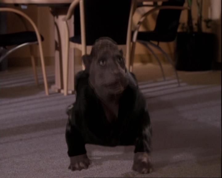 Charmed-Online-dot-net_110WiccaEnvy2043.jpg Charmed-Online-dot-net_110WiccaEnvy2043.jpg