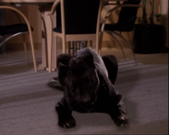 Charmed-Online-dot-net_110WiccaEnvy2046.jpg Charmed-Online-dot-net_110WiccaEnvy2046.jpg