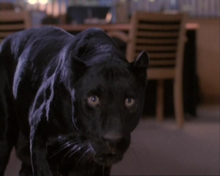 Charmed-Online-dot-net_110WiccaEnvy2174.jpg Charmed-Online-dot-net_110WiccaEnvy2174.jpg