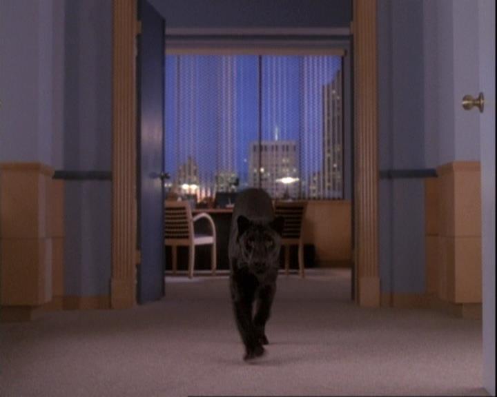 Charmed-Online-dot-net_110WiccaEnvy2176.jpg Charmed-Online-dot-net_110WiccaEnvy2176.jpg