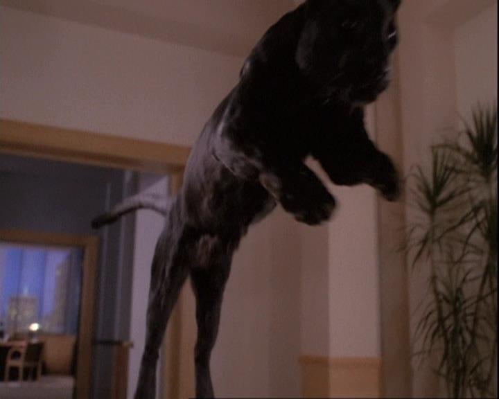 Charmed-Online-dot-net_110WiccaEnvy2178.jpg Charmed-Online-dot-net_110WiccaEnvy2178.jpg