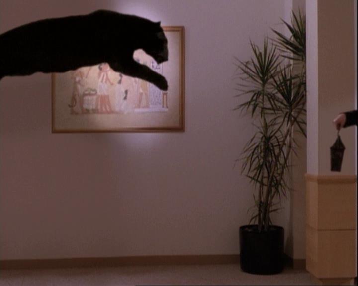 Charmed-Online-dot-net_110WiccaEnvy2190.jpg Charmed-Online-dot-net_110WiccaEnvy2190.jpg