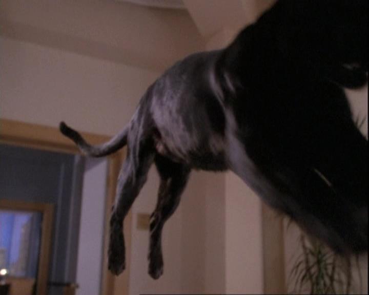 Charmed-Online-dot-net_110WiccaEnvy2193.jpg Charmed-Online-dot-net_110WiccaEnvy2193.jpg