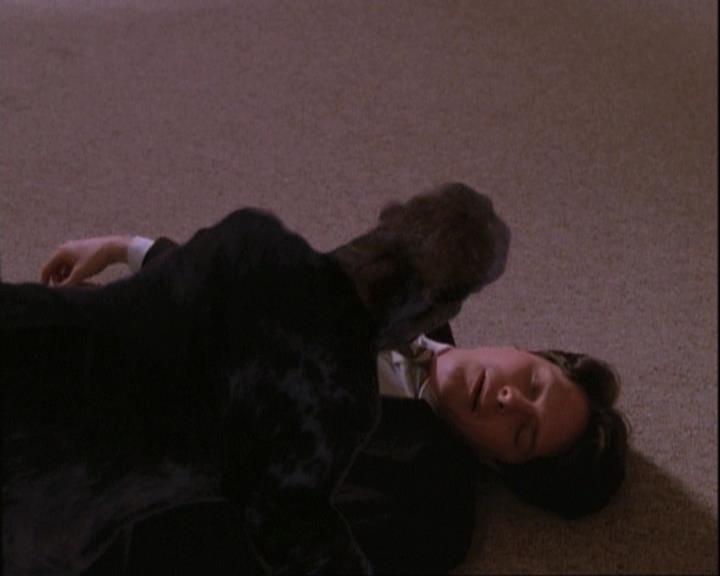 Charmed-Online-dot-net_110WiccaEnvy2200.jpg Charmed-Online-dot-net_110WiccaEnvy2200.jpg