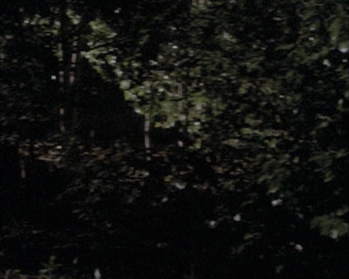 Charmed-Online-dot-net_112TheWendigo0174.jpg Charmed-Online-dot-net_112TheWendigo0174.jpg