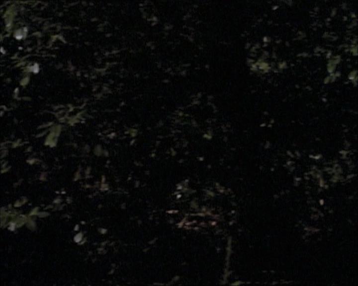 Charmed-Online-dot-net_112TheWendigo0175.jpg Charmed-Online-dot-net_112TheWendigo0175.jpg