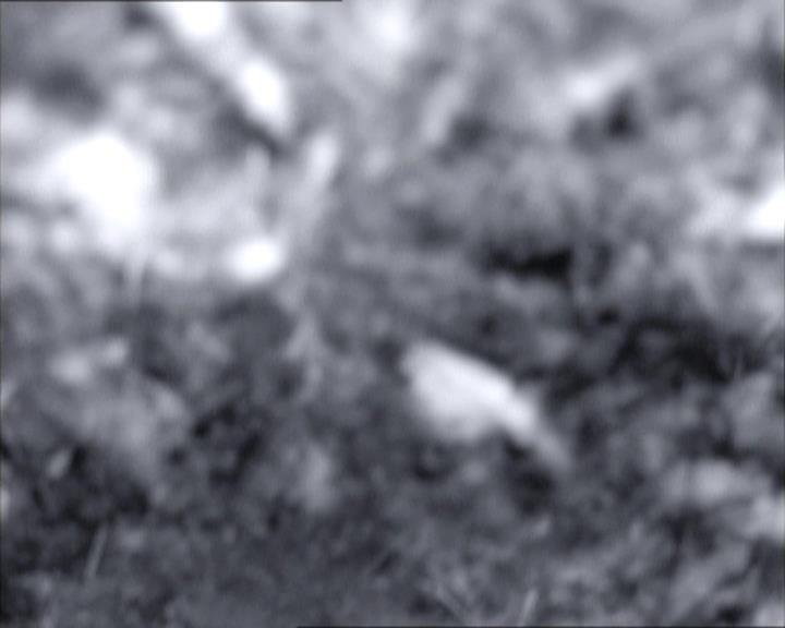 Charmed-Online-dot-net_112TheWendigo0704.jpg Charmed-Online-dot-net_112TheWendigo0704.jpg