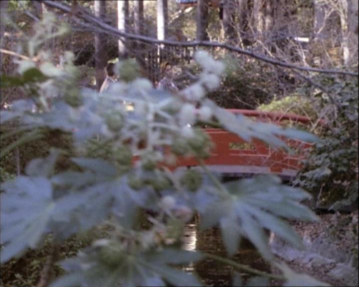 Charmed-Online-dot-net_112TheWendigo1694.jpg Charmed-Online-dot-net_112TheWendigo1694.jpg