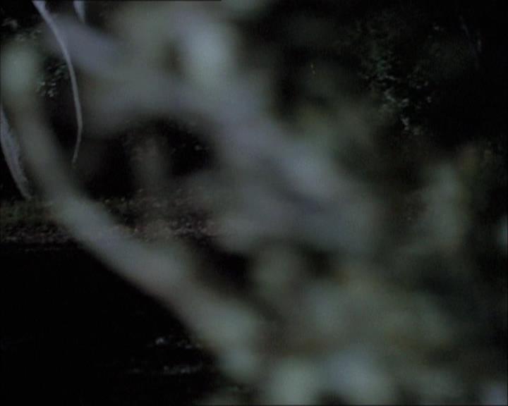 Charmed-Online-dot-net_112TheWendigo2162.jpg Charmed-Online-dot-net_112TheWendigo2162.jpg