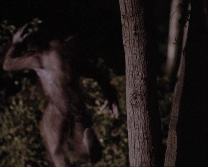 Charmed-Online-dot-net_112TheWendigo2173.jpg Charmed-Online-dot-net_112TheWendigo2173.jpg