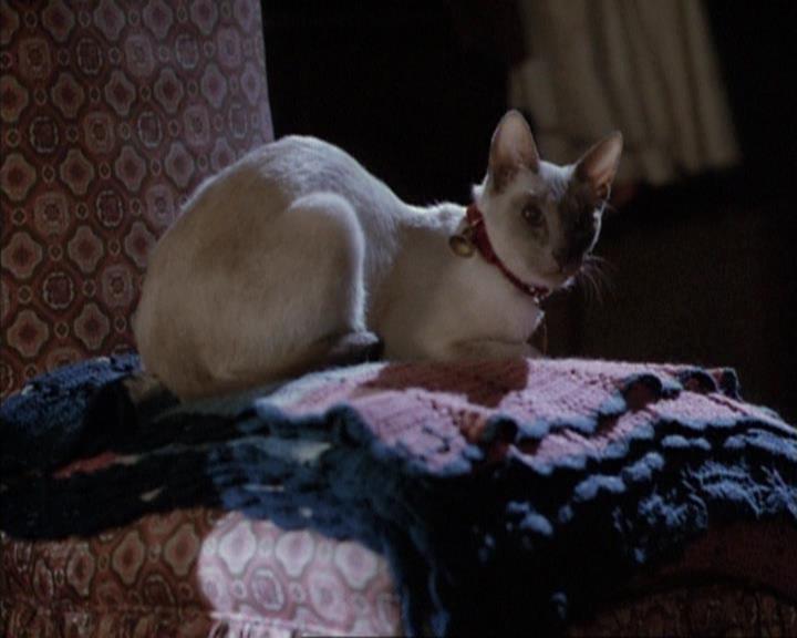 Charmed-Online-dot-net_114SecretsAndGuys0064.jpg Charmed-Online-dot-net_114SecretsAndGuys0064.jpg