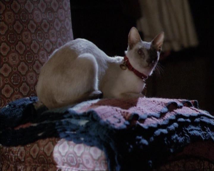 Charmed-Online-dot-net_114SecretsAndGuys0065.jpg Charmed-Online-dot-net_114SecretsAndGuys0065.jpg