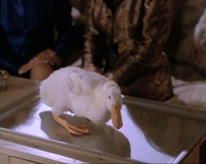 Charmed-Online-dot-net_115IsThereAWoogyInTheHouse1066.jpg Charmed-Online-dot-net_115IsThereAWoogyInTheHouse1066.jpg