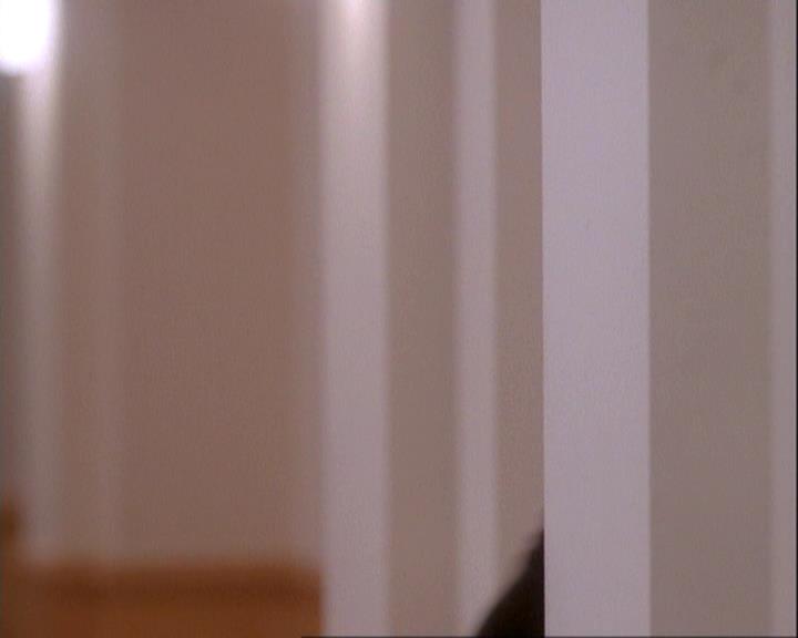 Charmed-Online-dot-net_116WichPrueIsItAnyway1176.jpg Charmed-Online-dot-net_116WichPrueIsItAnyway1176.jpg