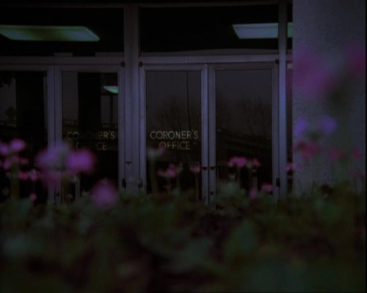 Charmed-Online-dot-net_116WichPrueIsItAnyway2267.jpg Charmed-Online-dot-net_116WichPrueIsItAnyway2267.jpg