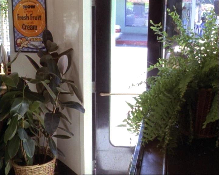 Charmed-Online-dot-net_117That70sEpisode0984.jpg Charmed-Online-dot-net_117That70sEpisode0984.jpg