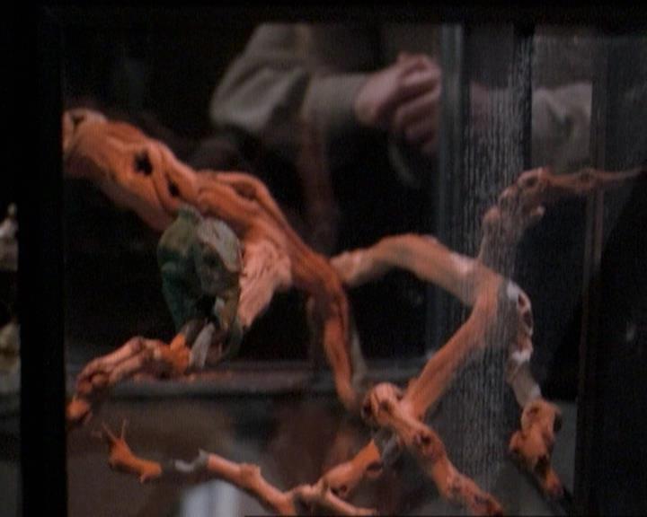 Charmed-Online-dot-net_118WhenBadWarlocksTurnGood0298.jpg Charmed-Online-dot-net_118WhenBadWarlocksTurnGood0298.jpg