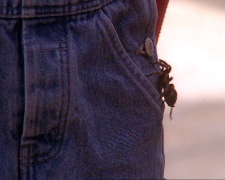 Charmed-Online-dot-net_118WhenBadWarlocksTurnGood0670.jpg Charmed-Online-dot-net_118WhenBadWarlocksTurnGood0670.jpg