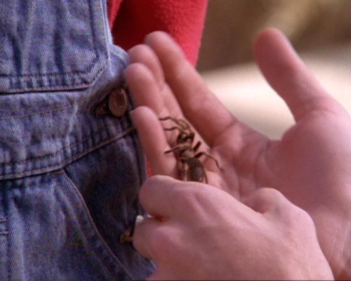 Charmed-Online-dot-net_118WhenBadWarlocksTurnGood0676.jpg Charmed-Online-dot-net_118WhenBadWarlocksTurnGood0676.jpg