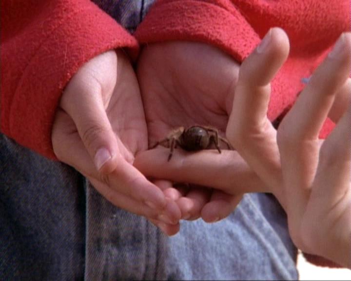 Charmed-Online-dot-net_118WhenBadWarlocksTurnGood0686.jpg Charmed-Online-dot-net_118WhenBadWarlocksTurnGood0686.jpg