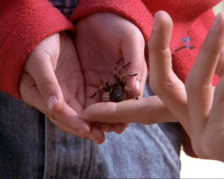 Charmed-Online-dot-net_118WhenBadWarlocksTurnGood0688.jpg Charmed-Online-dot-net_118WhenBadWarlocksTurnGood0688.jpg