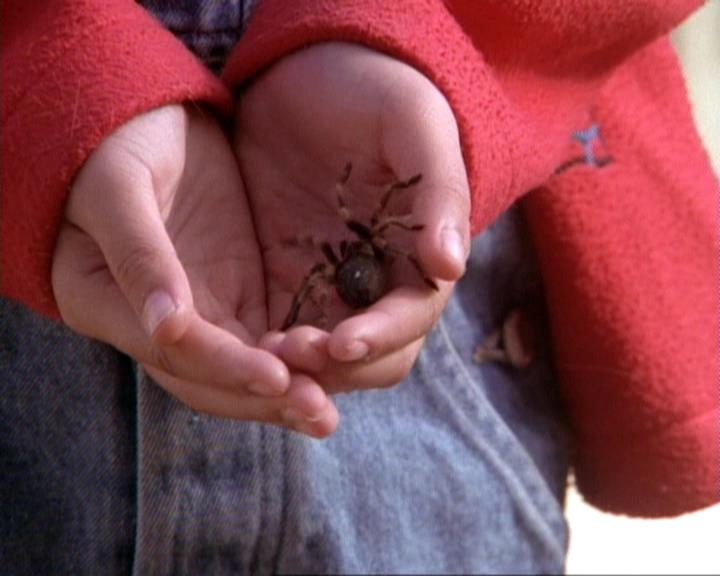 Charmed-Online-dot-net_118WhenBadWarlocksTurnGood0689.jpg Charmed-Online-dot-net_118WhenBadWarlocksTurnGood0689.jpg