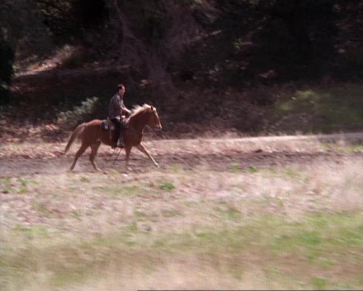 Charmed-Online-dot-net_118WhenBadWarlocksTurnGood0746.jpg Charmed-Online-dot-net_118WhenBadWarlocksTurnGood0746.jpg