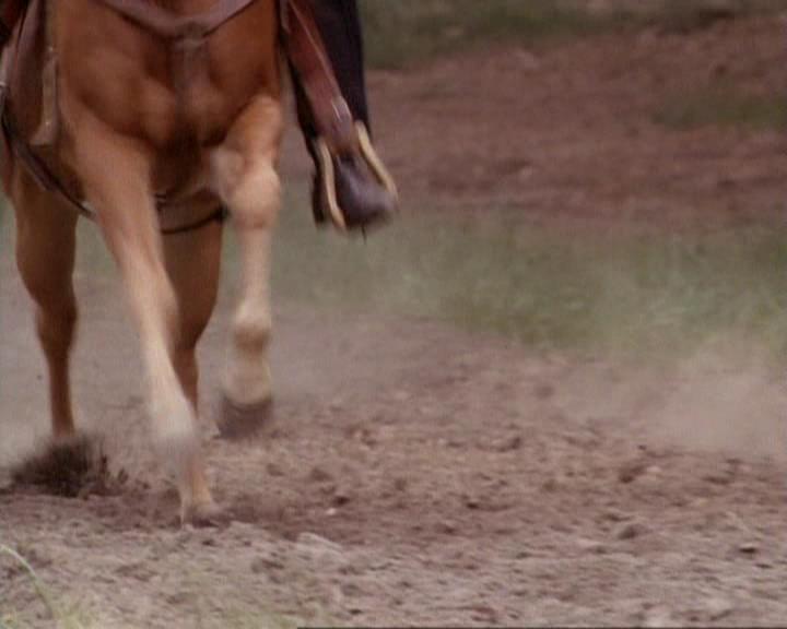 Charmed-Online-dot-net_118WhenBadWarlocksTurnGood0761.jpg Charmed-Online-dot-net_118WhenBadWarlocksTurnGood0761.jpg