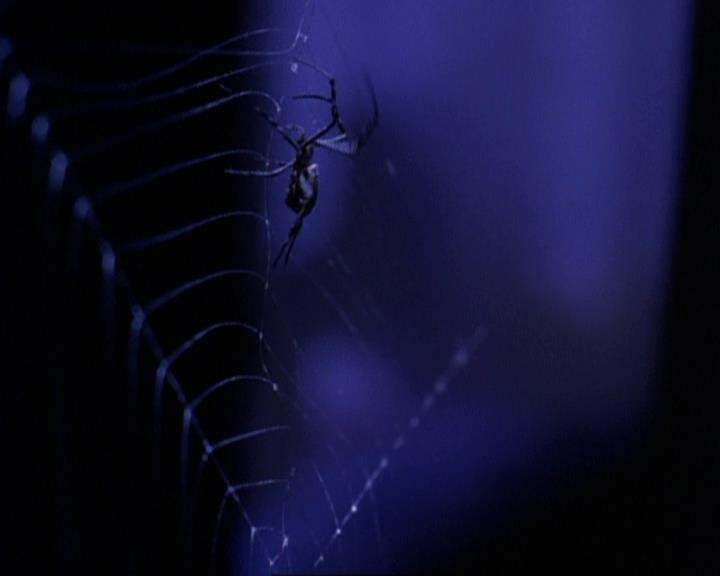 Charmed-Online-dot-net_118WhenBadWarlocksTurnGood1806.jpg Charmed-Online-dot-net_118WhenBadWarlocksTurnGood1806.jpg