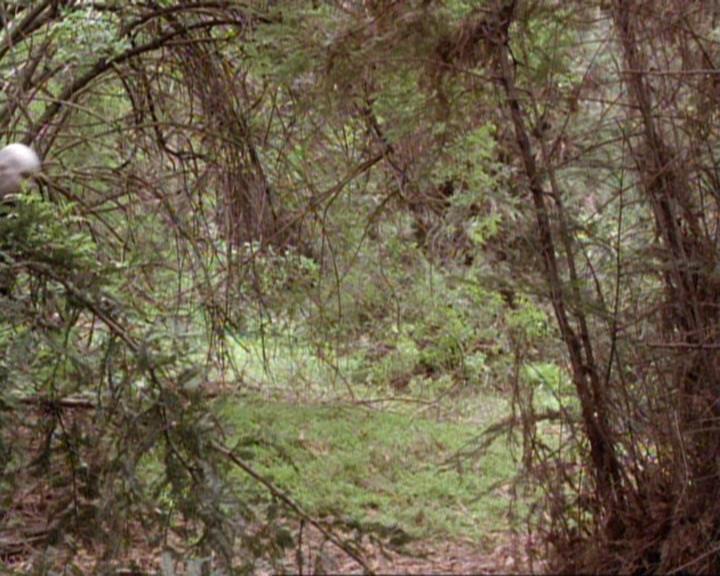 Charmed-Online-dot-net_119OutOfSight0123.jpg Charmed-Online-dot-net_119OutOfSight0123.jpg