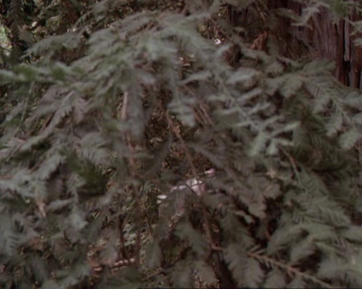 Charmed-Online-dot-net_119OutOfSight0127.jpg Charmed-Online-dot-net_119OutOfSight0127.jpg