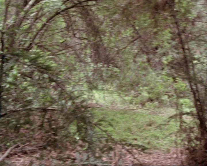 Charmed-Online-dot-net_119OutOfSight0128.jpg Charmed-Online-dot-net_119OutOfSight0128.jpg