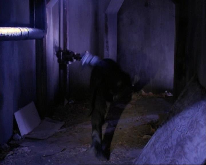 Charmed-Online-dot-net_119OutOfSight1963.jpg Charmed-Online-dot-net_119OutOfSight1963.jpg