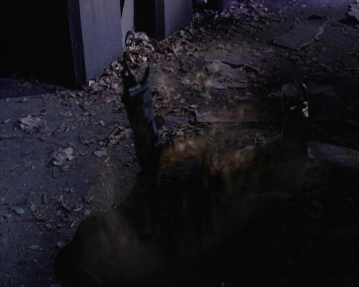 Charmed-Online-dot-net_119OutOfSight2142.jpg Charmed-Online-dot-net_119OutOfSight2142.jpg