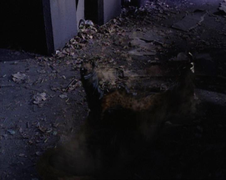 Charmed-Online-dot-net_119OutOfSight2143.jpg Charmed-Online-dot-net_119OutOfSight2143.jpg