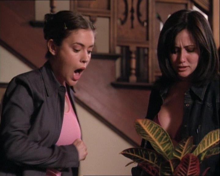 Charmed-Online-dot-net_121LoveHurts0170.jpg Charmed-Online-dot-net_121LoveHurts0170.jpg