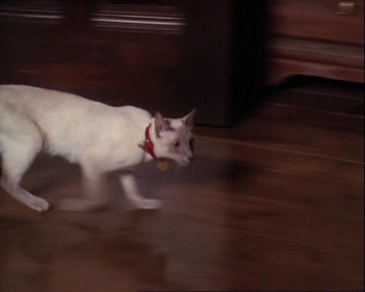 Charmed-Online-dot-net_121LoveHurts1061.jpg Charmed-Online-dot-net_121LoveHurts1061.jpg