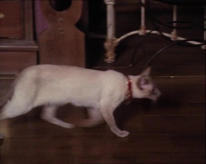 Charmed-Online-dot-net_121LoveHurts1065.jpg Charmed-Online-dot-net_121LoveHurts1065.jpg