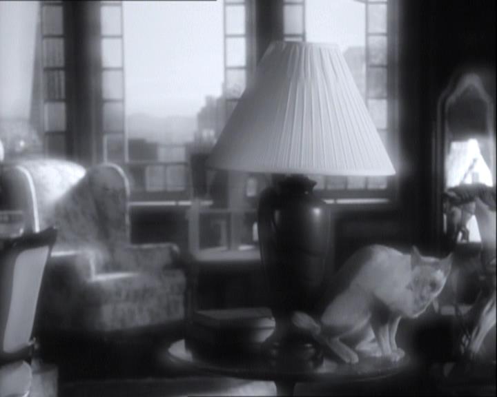 Charmed-Online-dot-net_121LoveHurts1072.jpg Charmed-Online-dot-net_121LoveHurts1072.jpg