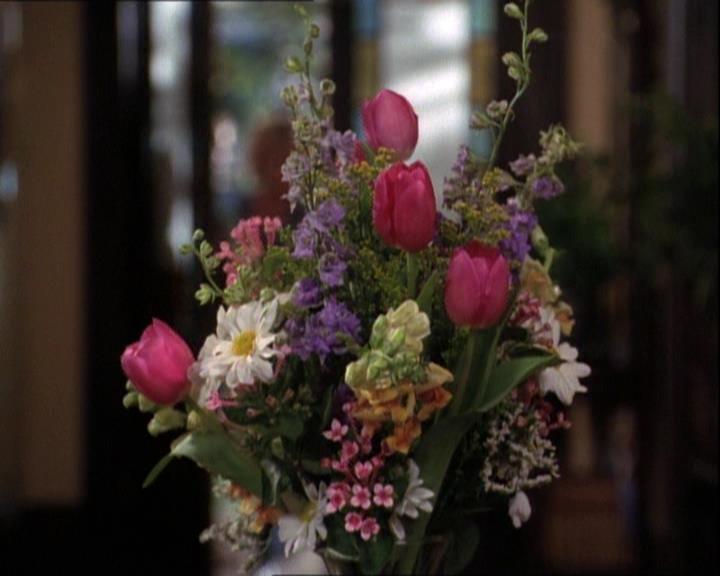 Charmed-Online-dot-net_121LoveHurts1482.jpg Charmed-Online-dot-net_121LoveHurts1482.jpg