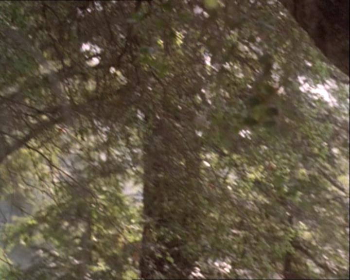 Charmed-Online-dot-net_122DejaVuAllOverAgain0665.jpg Charmed-Online-dot-net_122DejaVuAllOverAgain0665.jpg