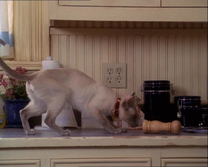 Charmed-Online-dot-net_122DejaVuAllOverAgain0984.jpg Charmed-Online-dot-net_122DejaVuAllOverAgain0984.jpg